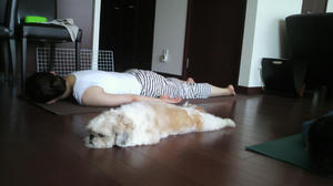 2010081112110000.jpg