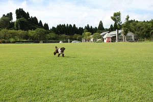 IMG_3775.JPG