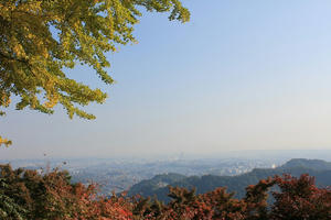 IMG_4278.JPG