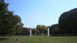 2010110911480000.jpg