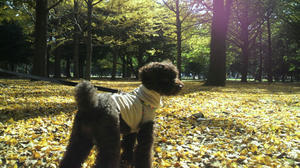 2010110911580005.jpg