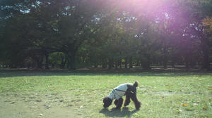2010110911470001.jpg