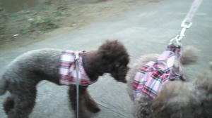 2011011416310002.jpg