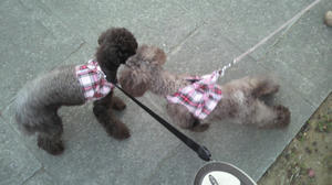 2011011416310000.jpg