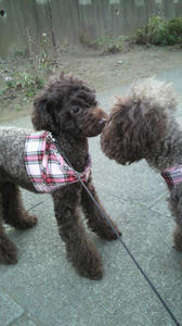 2011011416310003.jpg