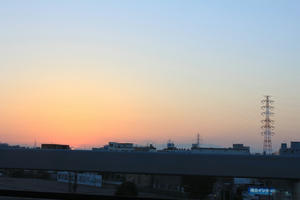 IMG_5339.JPG