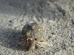 DSC00410.JPG
