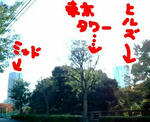 人気のない秋の霊園／ぼくだけにひらける空