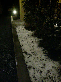DSC00051.JPG