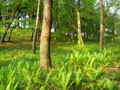 DSC00079.JPG