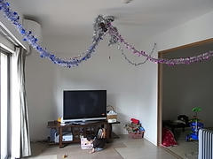 RIMG0504.JPG