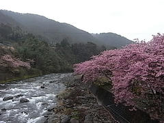RIMG0586.JPG