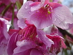 RIMG0582.JPG