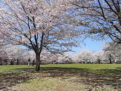 RIMG0634.JPG