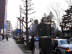 RIMG0645.JPG