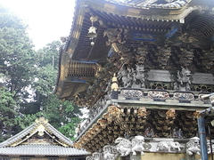 RIMG0737.JPG