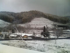 P1000233.JPG