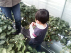 P1000296.JPG