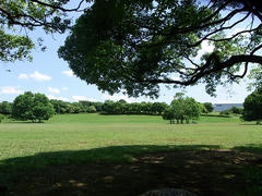 R0011075.JPG