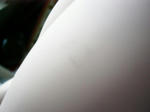 P1010175.JPG