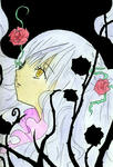 img.kirakisyou.JPG