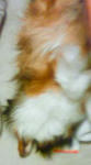 200903260640000.jpg