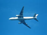 JAL001B777.jpg
