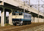 EF651054