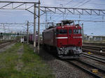20100529007-002.JPG