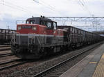 20100529008-001.JPG