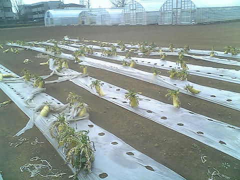 Image0209.jpg