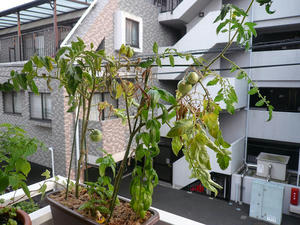 P1010035.JPG