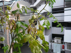 P1010036.JPG