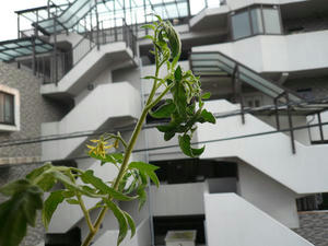 P1010037.JPG