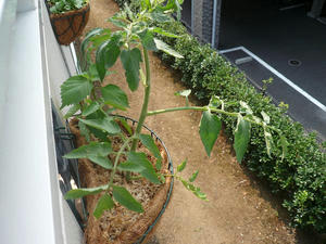 P1010014.JPG