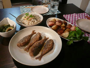P1010039.JPG