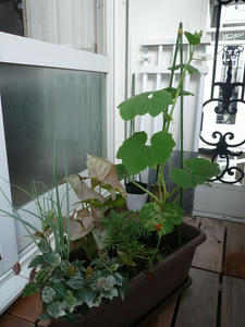 P1010163.JPG