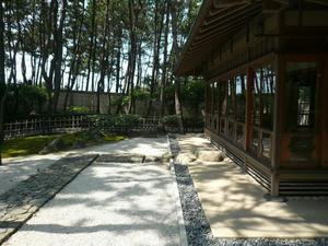 P1010187.jpg