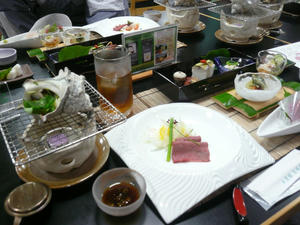 P1010220.jpg