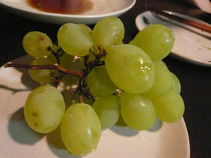 P1010257.jpg
