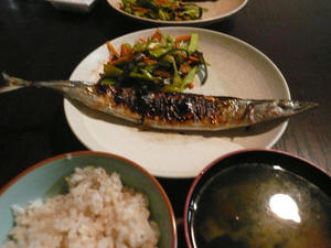 P1010261.jpg