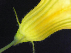 P1010336.jpg
