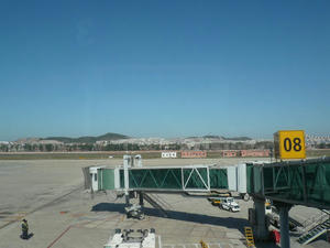 P1010412.jpg