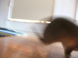 th_DSCF1841.jpg