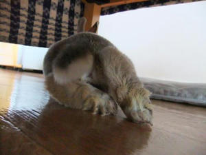 th_DSCF2060.jpg