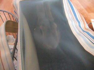 th_DSCF2204.jpg