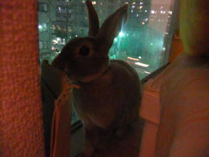 th_DSCF2223.jpg