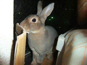 th_DSCF2222.jpg