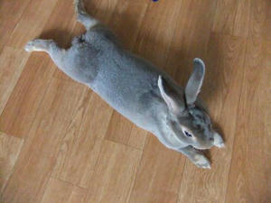 th_DSCF2126.jpg
