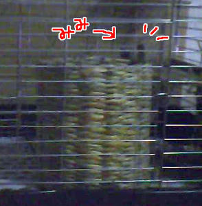 101004.jpg